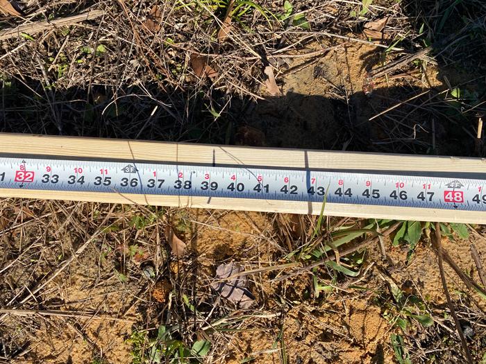 Effluent level 39” of total 60” tank depth