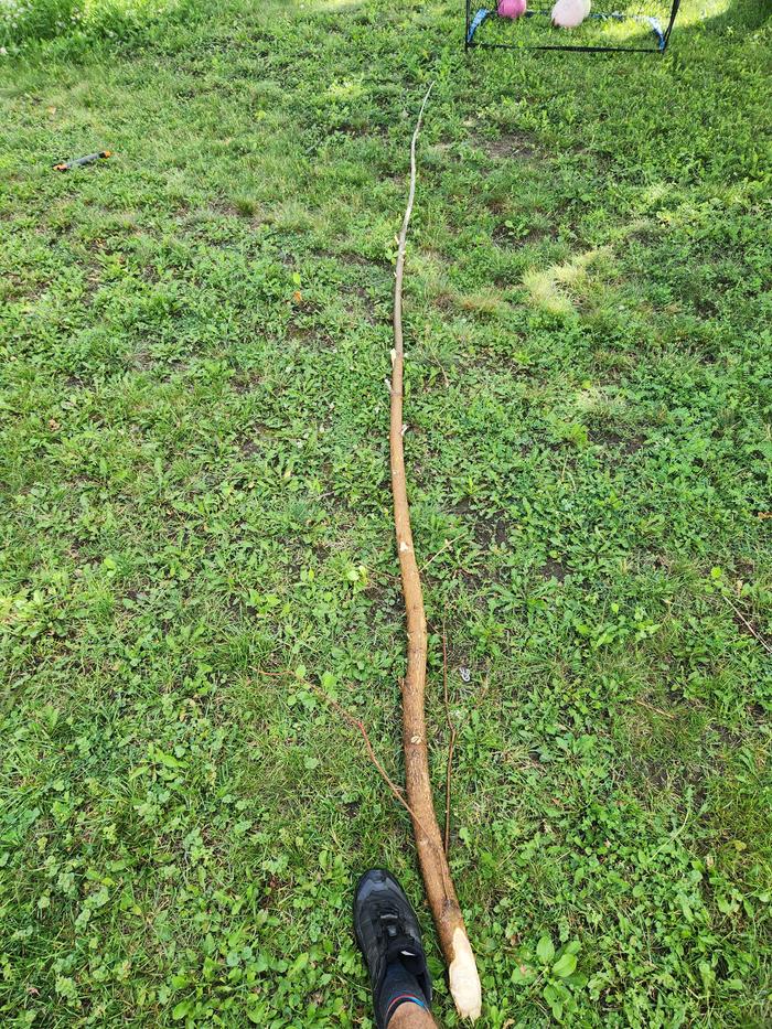 the stick!