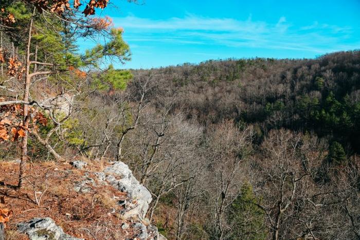 View from a cliff edge of the forested valley