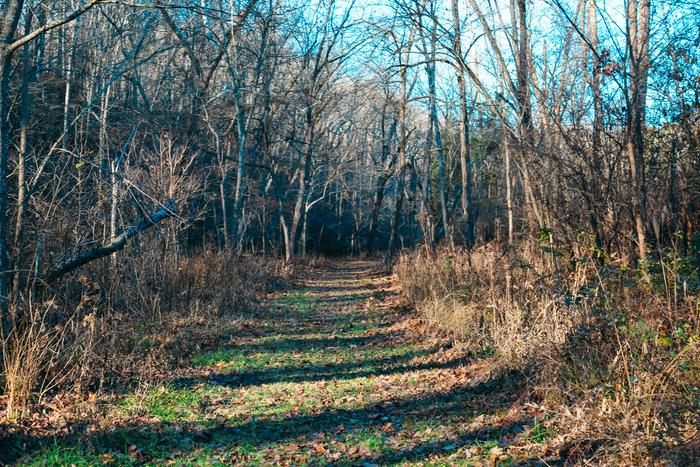 Walk by the stream near many of the house sites