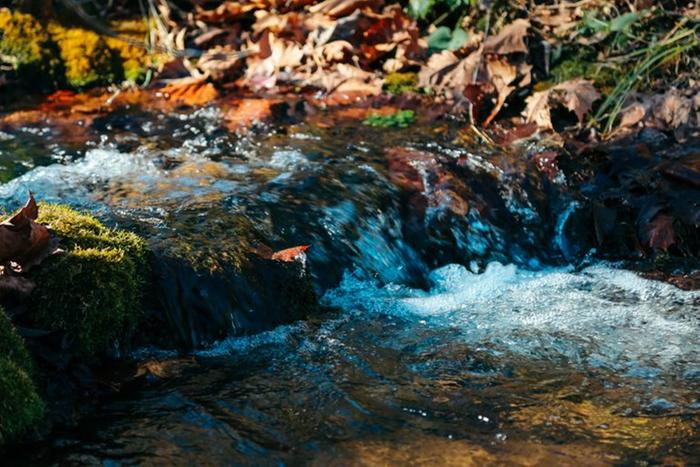 Wild Water on the land