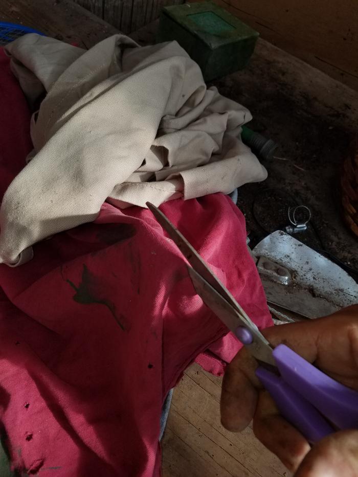 action shot - of course, y'all didn't ask for that on this particular BB ...but if I didn't have it ;-p