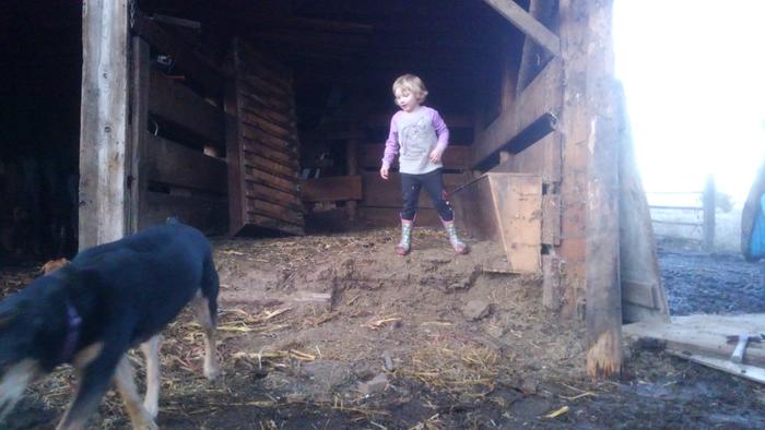 barn, kid, and dog