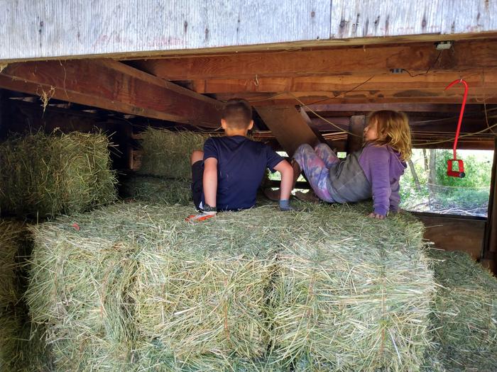 kids playing on bales of hay