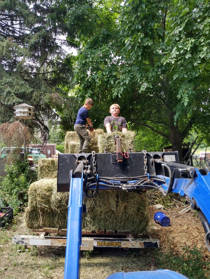 kids helping with the hay