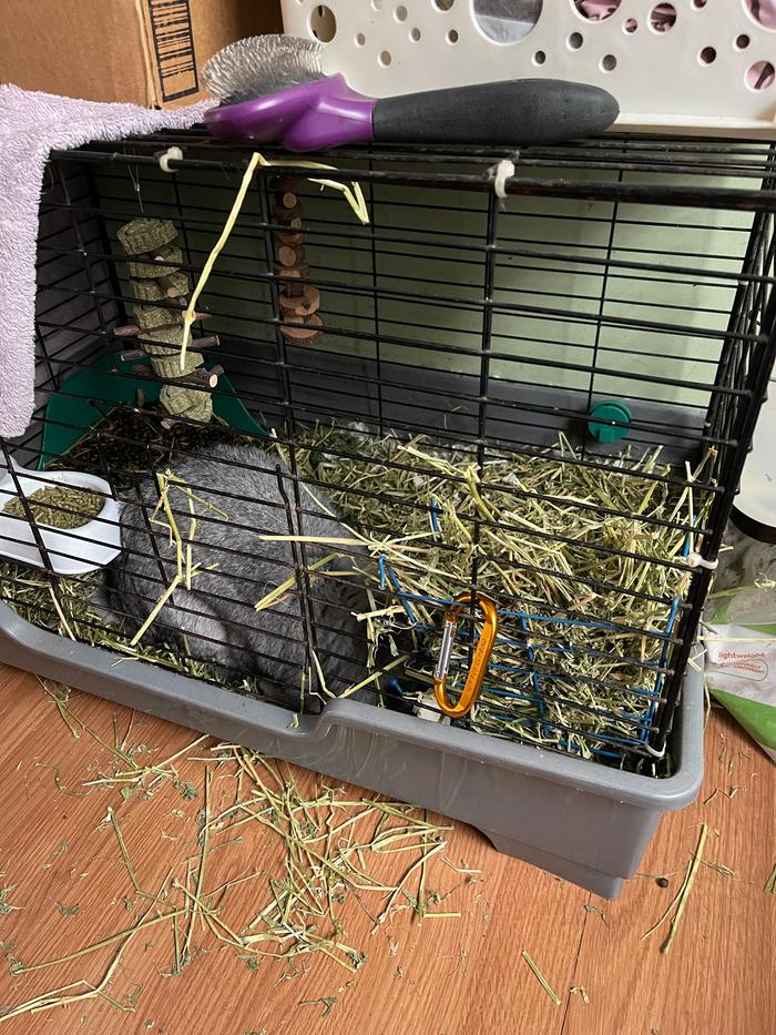 Before picture of the shelter, salt block supplement on the hay rack