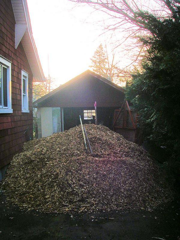 [Thumbnail for wood-pile-2.jpg]