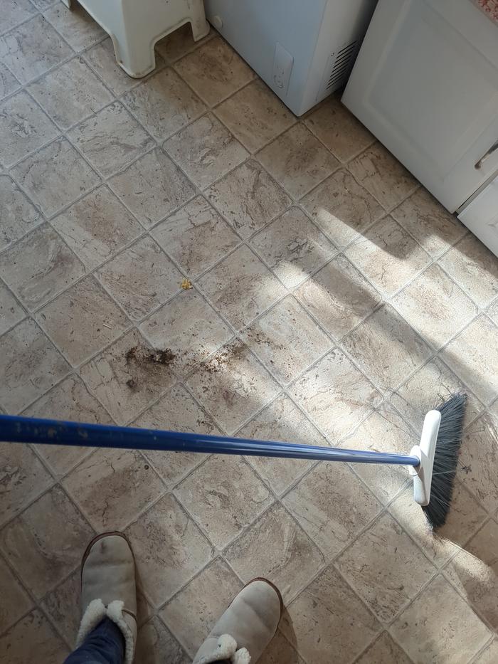 Sweeping in progress.
