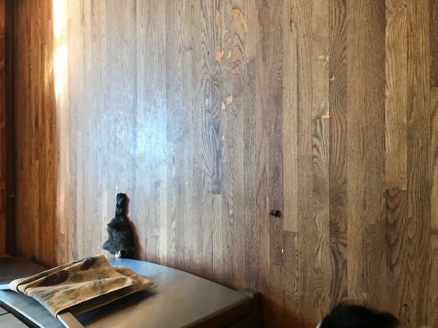 Wide view of floor. Wood floor seems to hide dirt well.