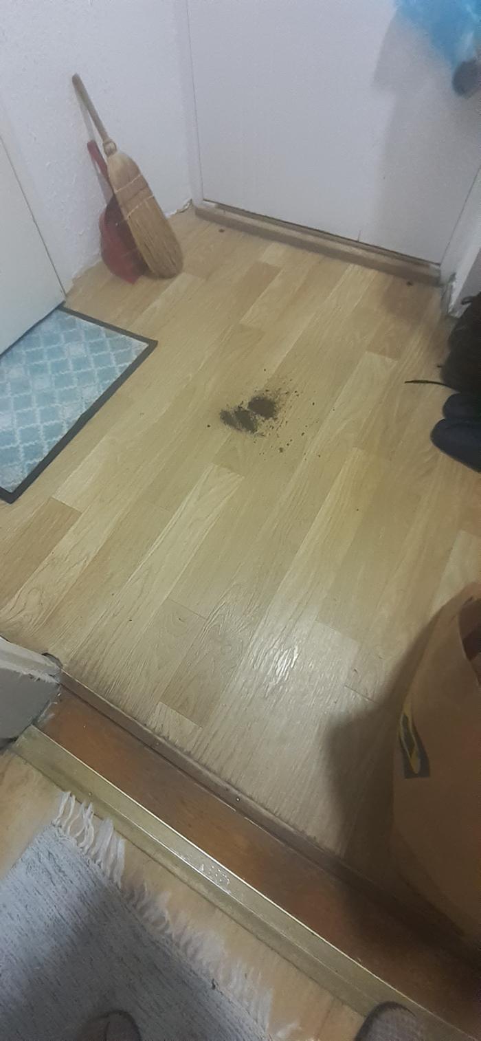  - a before picture of the floor