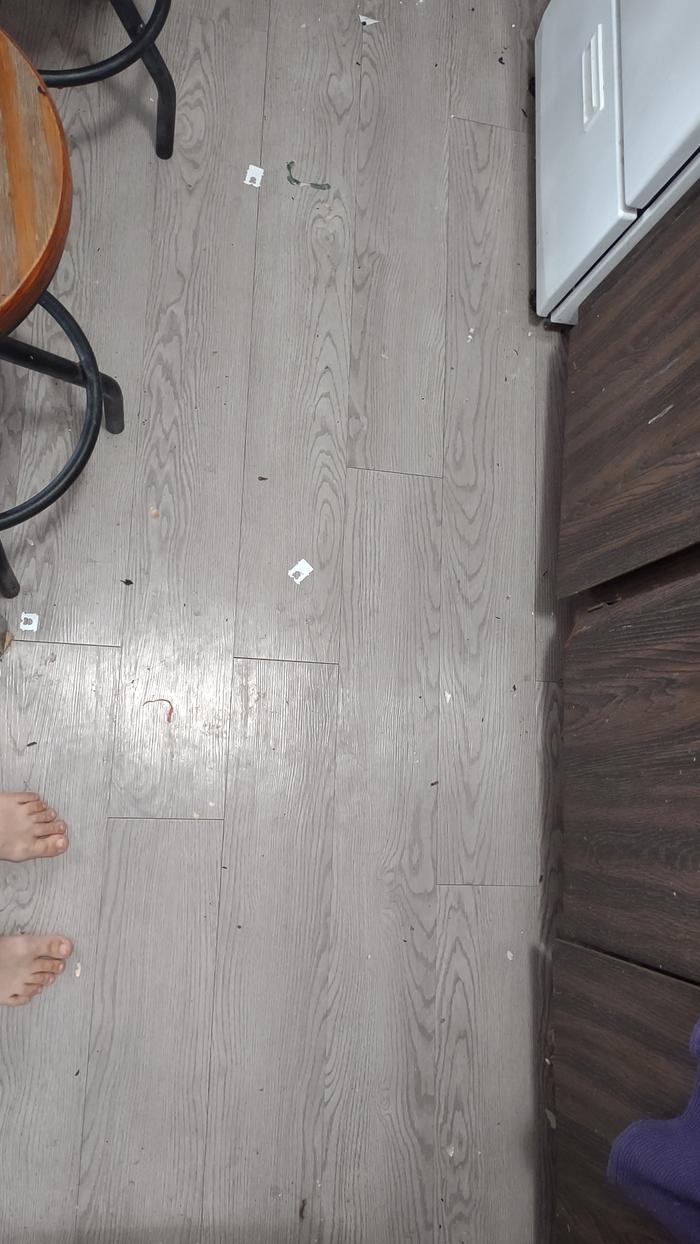 [Thumbnail for floor-dirty.jpg]