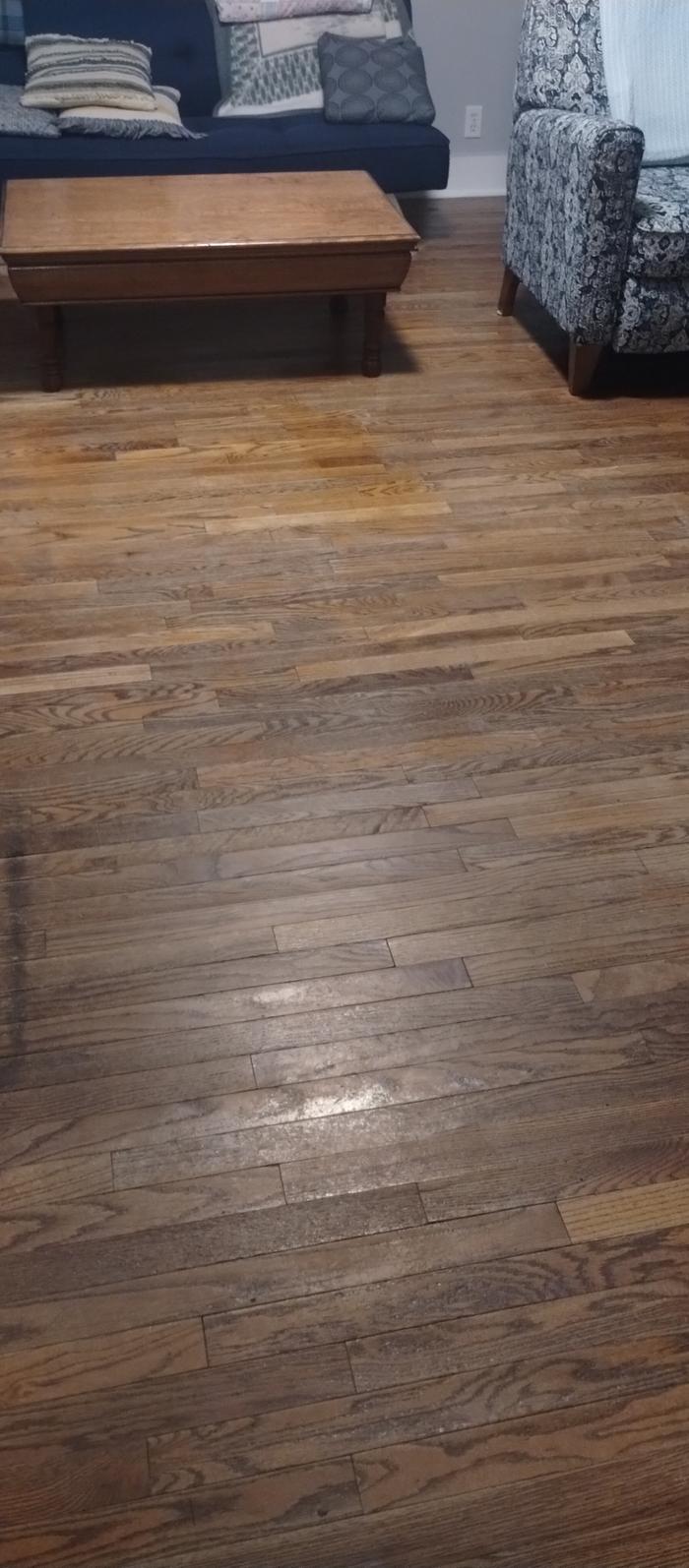 clean floor