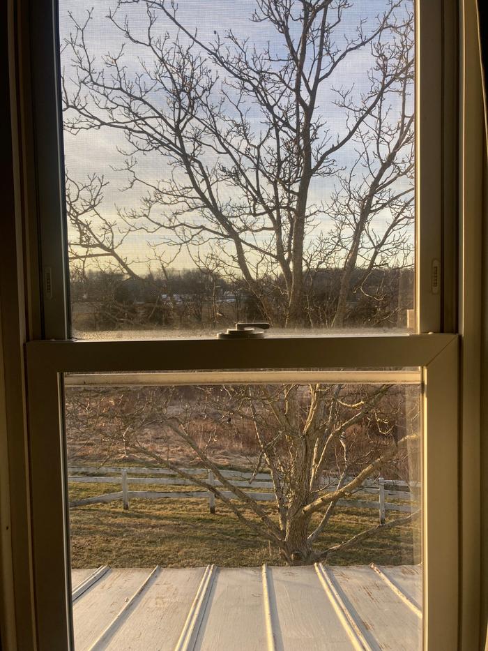 Window #1 before