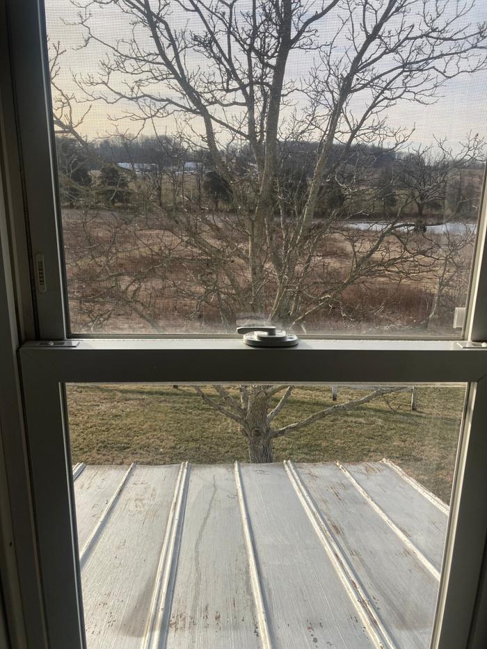 Window #1 after