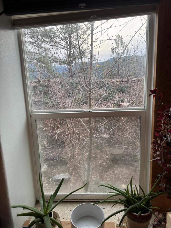 [Thumbnail for IMG_5220.jpeg]