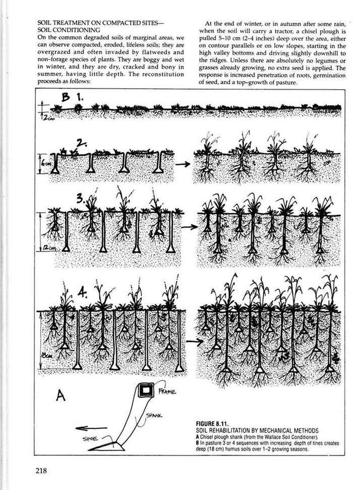 [Thumbnail for PDM-Soil-condistioning-1.JPG]