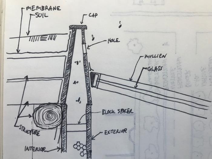 Sketch of a section cut of the top of a bee wall idea.