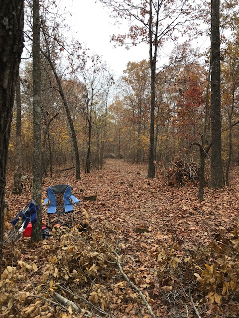 [Thumbnail for 171104_06.jpg]