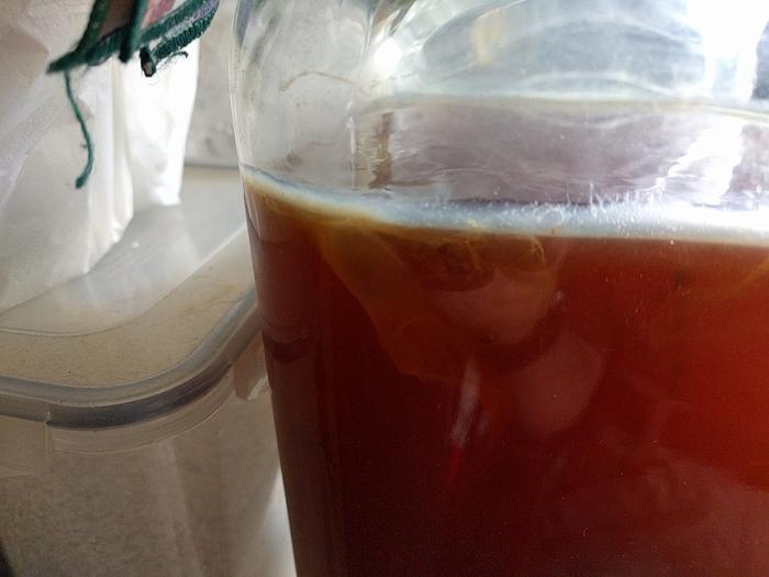 New kombucha layer