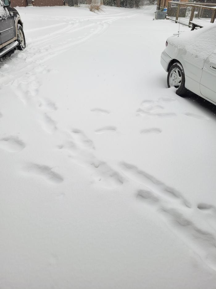 Before shoveling walk by garage.