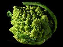 [Thumbnail for romanesco-broccoli.jpg]