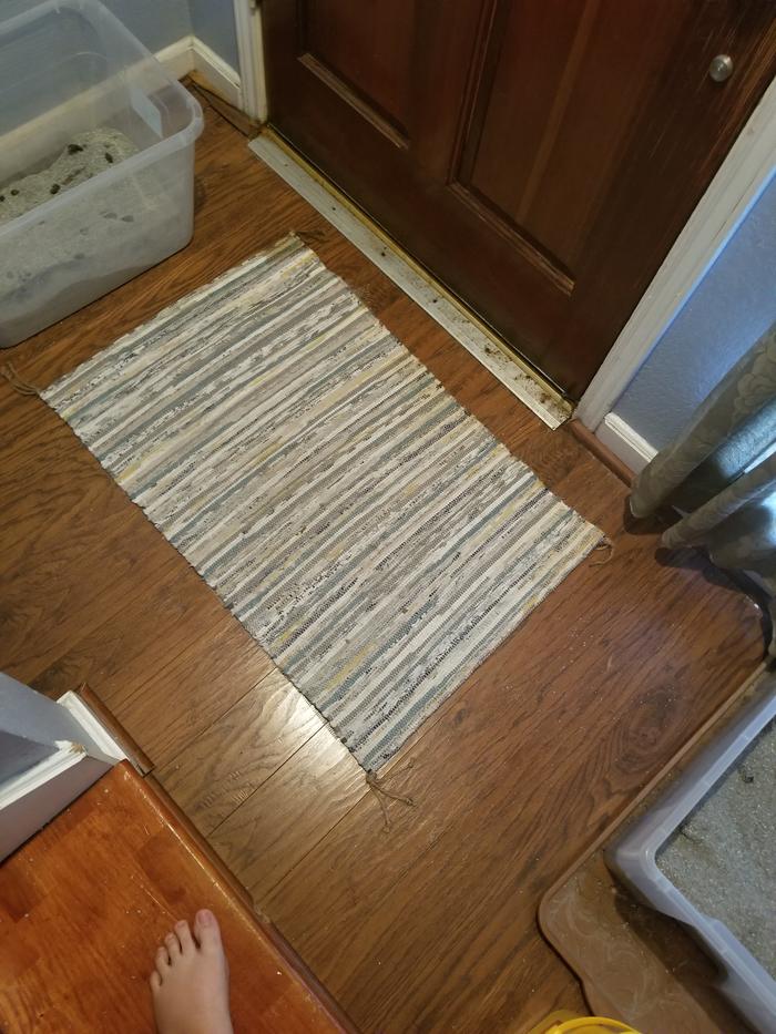 Rug that needs to be cleaned