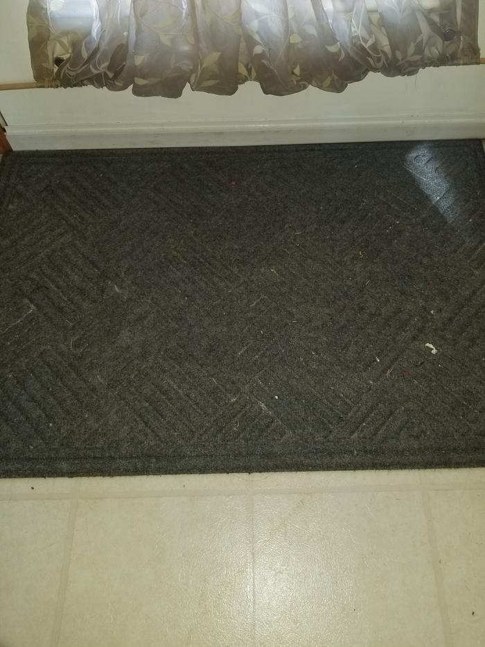 front door rug