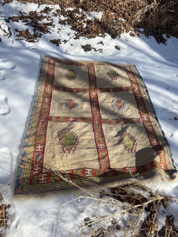 [Thumbnail for 3_Sunning-the-rug.jpg]