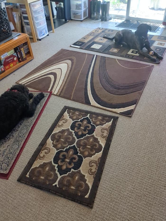 All the rugs laid out.