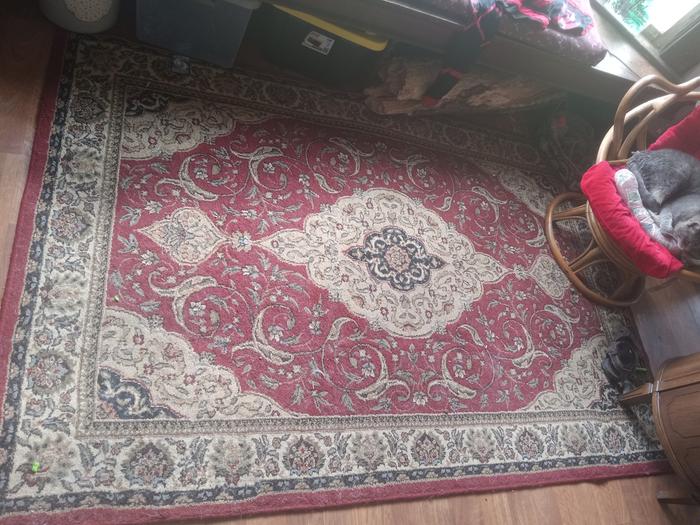 Dusty hair covered rug