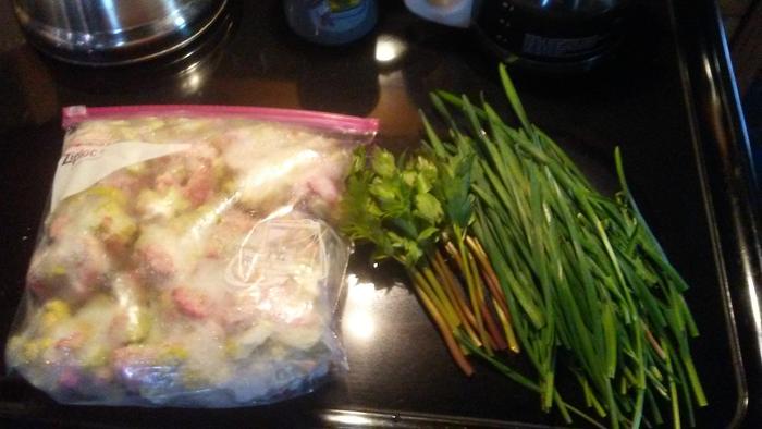 Ingredients assembled for rhubarb catsup making trial