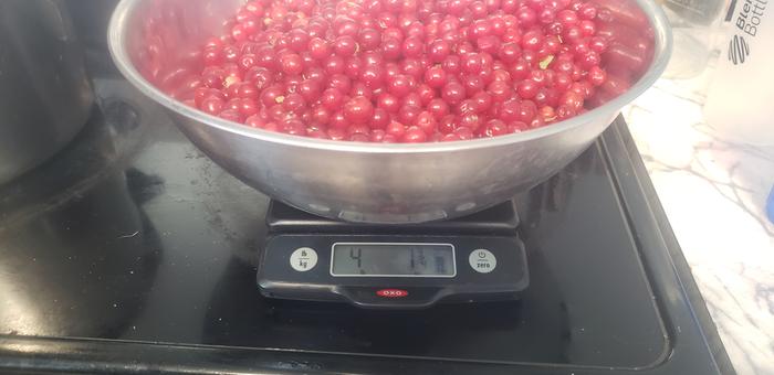 over 2 lbs of cherries