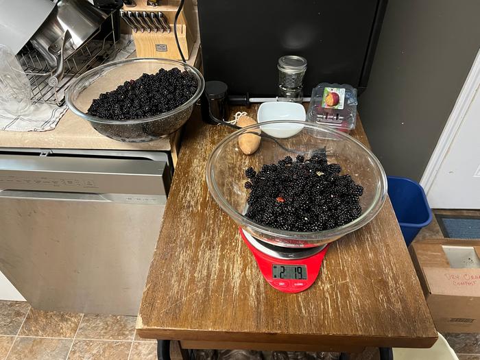 The two pounds I’d like to submit for a single instance of the fresh list (note second identical Pyrex bowl full of 4lbs in the background)