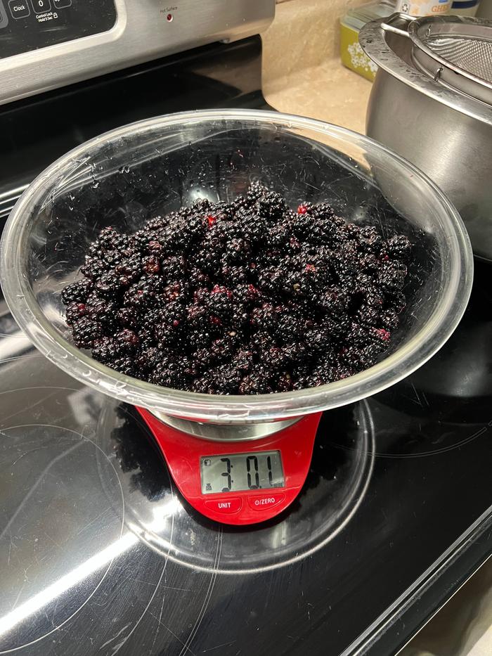 3 pounds of blackberries (complement to Dry List #1)