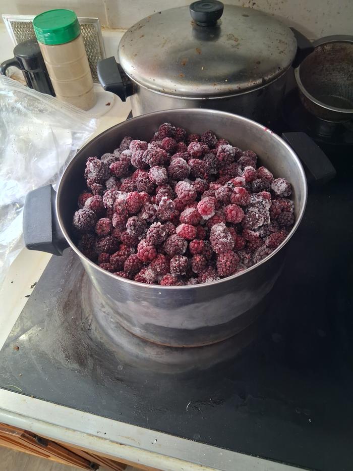 Frozen dewberries foraged from our property