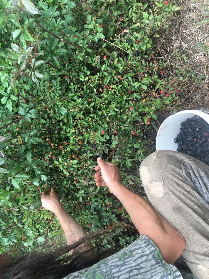 picking at a patch