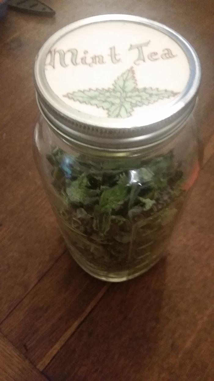 Mint leaves refilling the mint jar