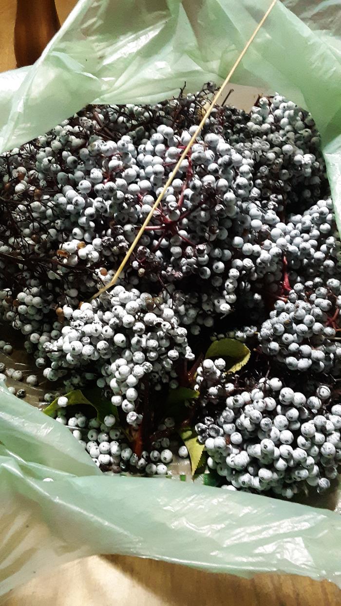 Bag of elderberries