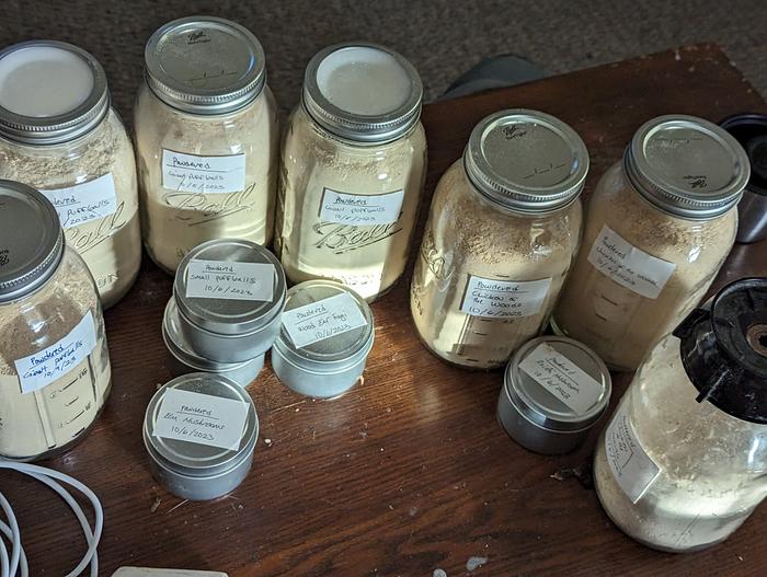 Puffballs dried, powdered and labeled.