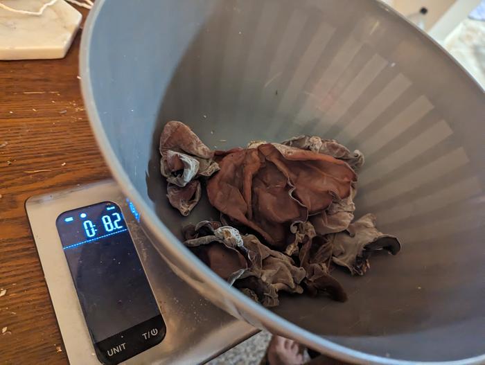 Wood Ear 8.2oz, 1st harvest