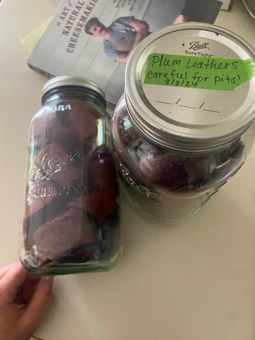 plum leathers in canning jars with pits still inside