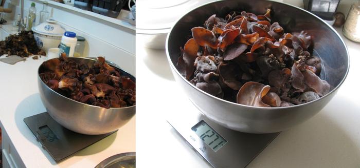 Weighing the mushrooms