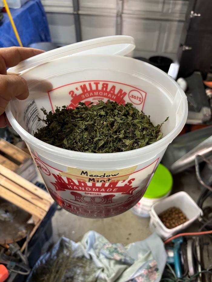 My dried mint in it’s container 