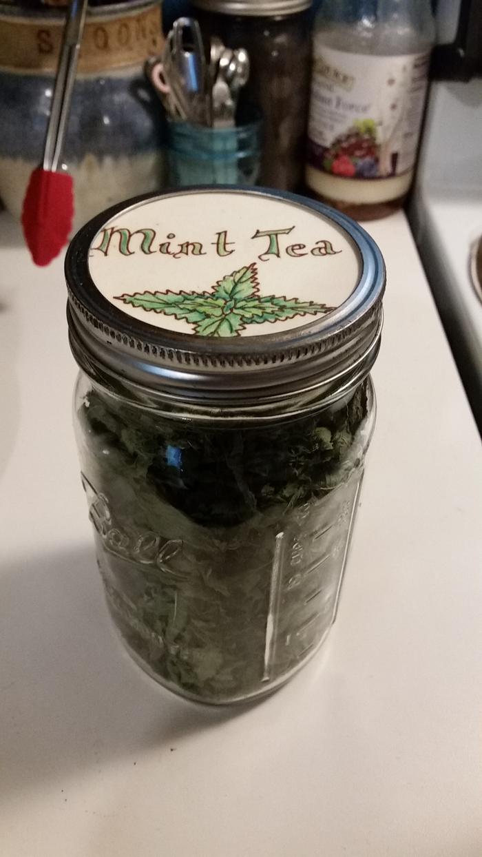 dried mint for tea