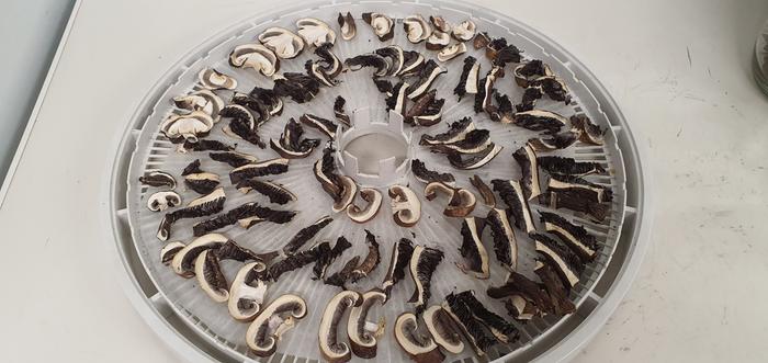 dehydrating wine caps