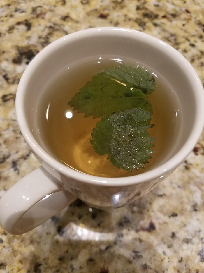 Cup of nettle tea.