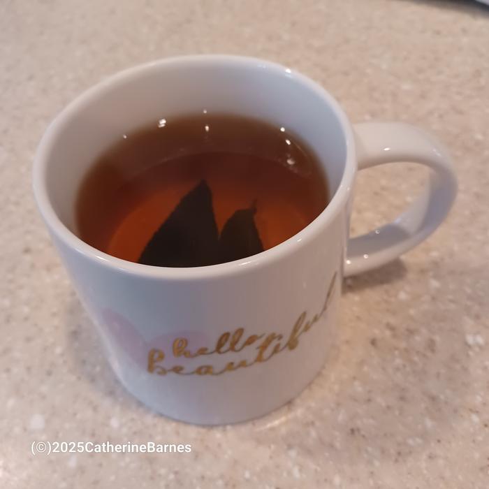 [Thumbnail for BB-a-cup-of-mint-tea.jpg]