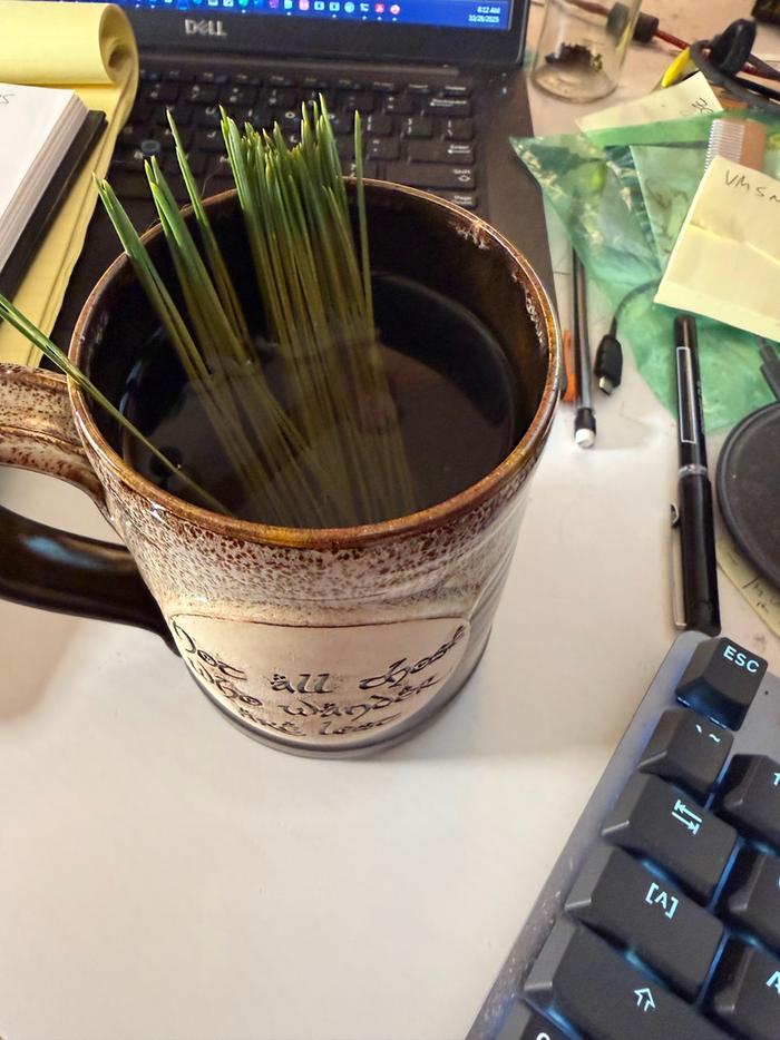 [Thumbnail for enjoying.jpg]