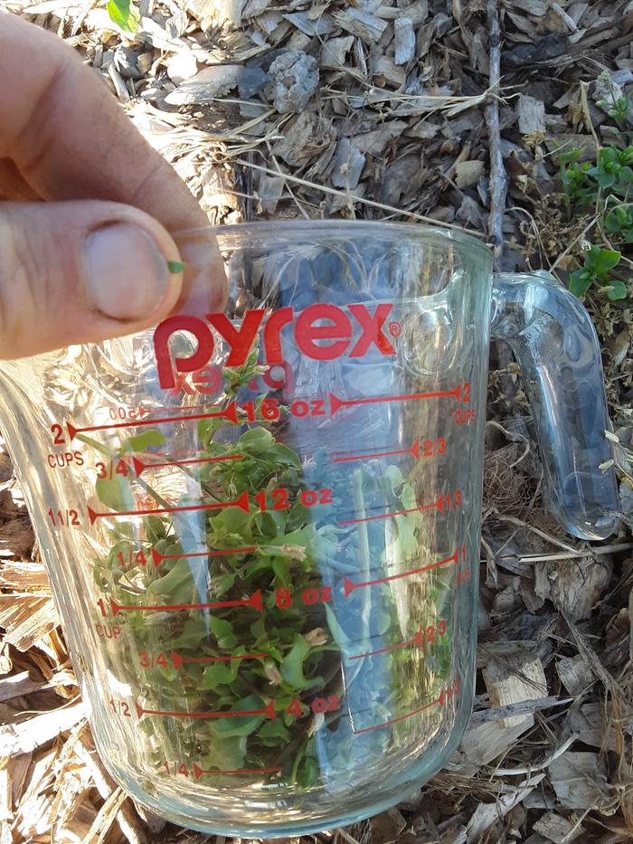 In measuring cup