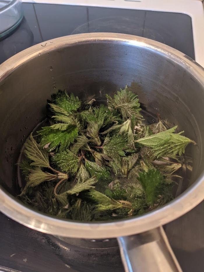 Nettles blanching.